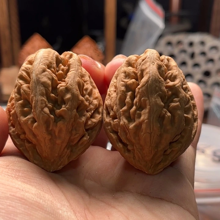 把件文玩核桃楸大胖42