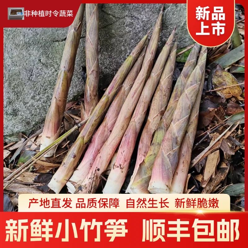 新鲜小竹笋带壳春笋湖南鲜嫩小笋农家土特产时令生鲜食用山里笋子