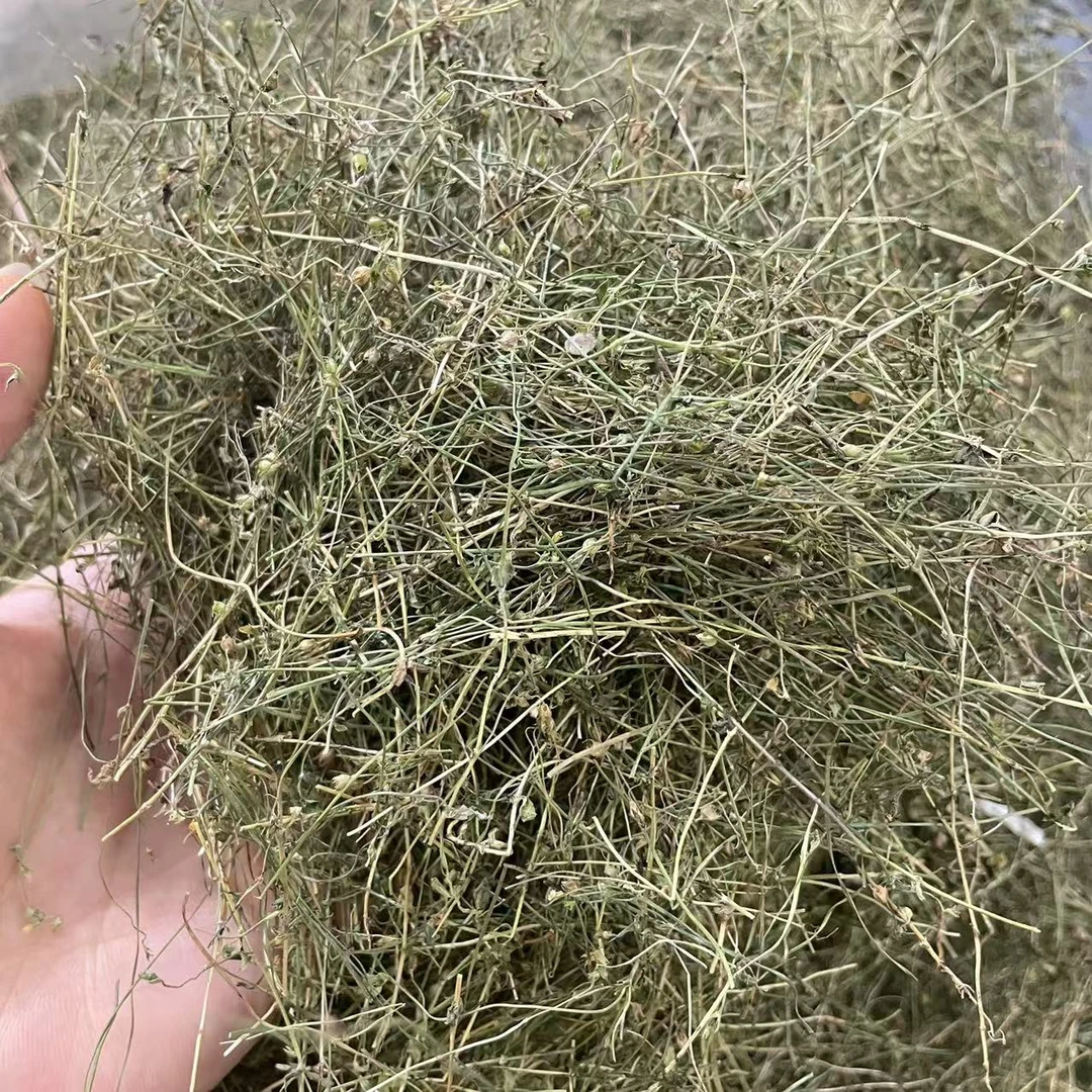 [四叶莲碎]煲汤煮水都可以