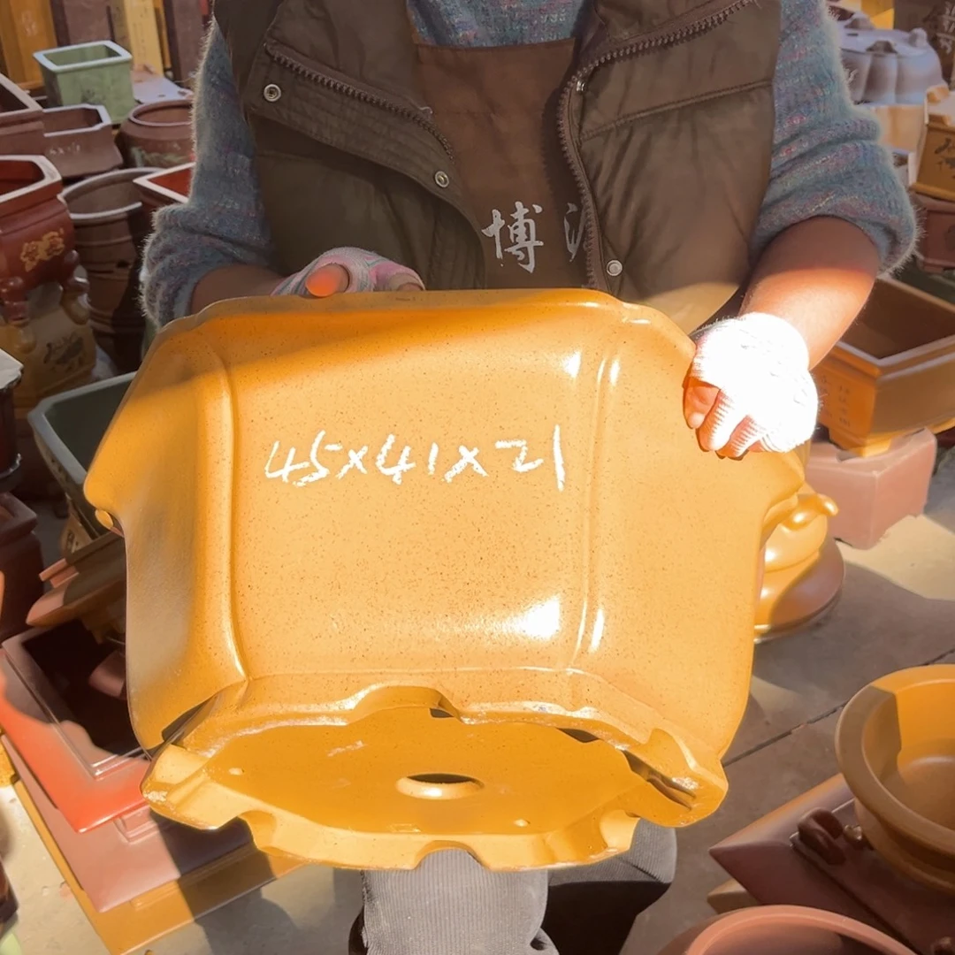 花盆紫砂盆景艺术