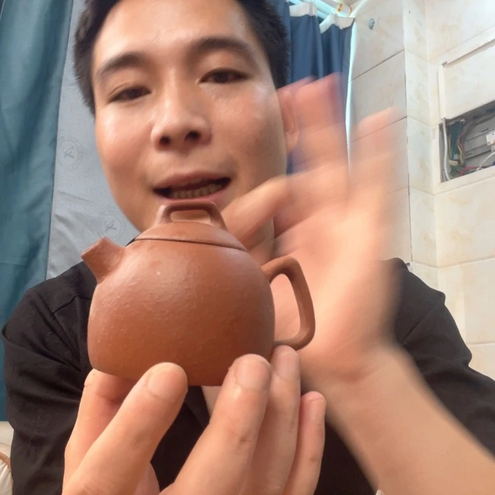 茶壶紫砂处理一把