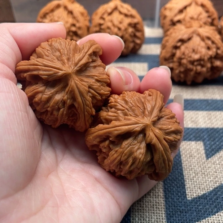 鸿***头核桃白狮子41核桃