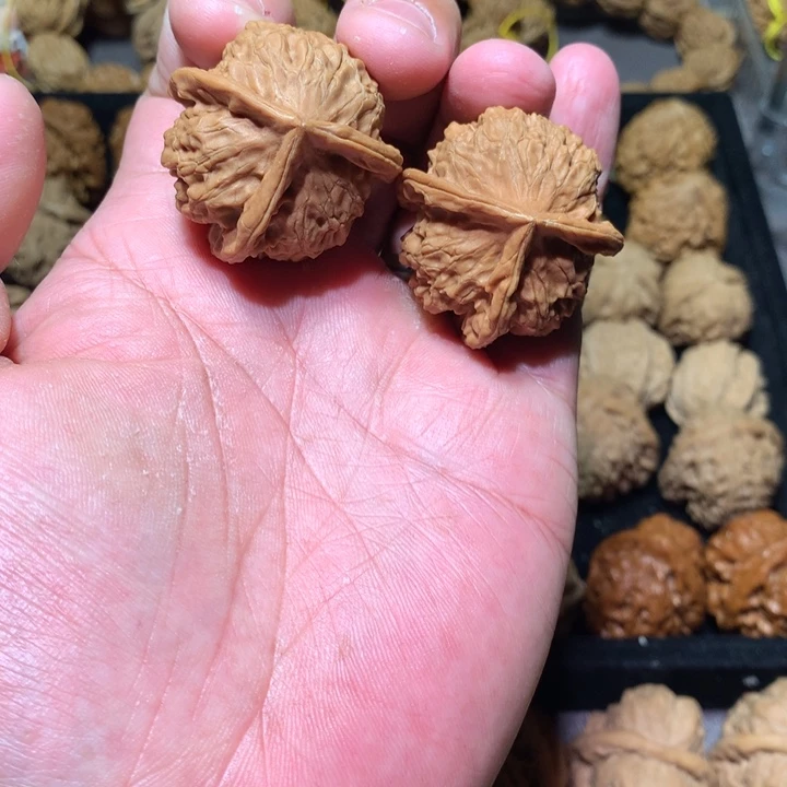 文玩核桃吊坠39金定元宝丁子