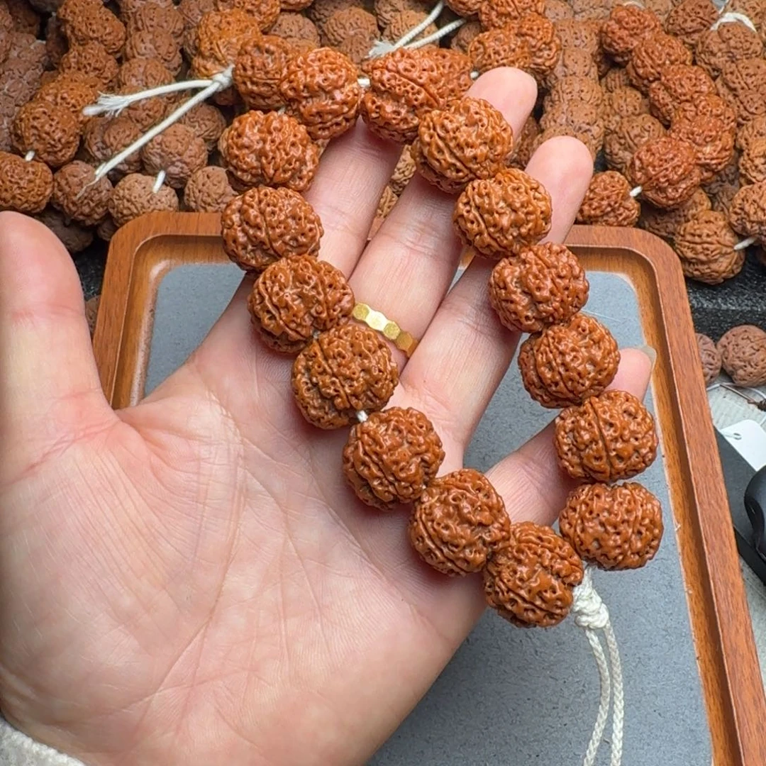 起***名菩提菩提5号尼泊尔大金刚21古龙梅花