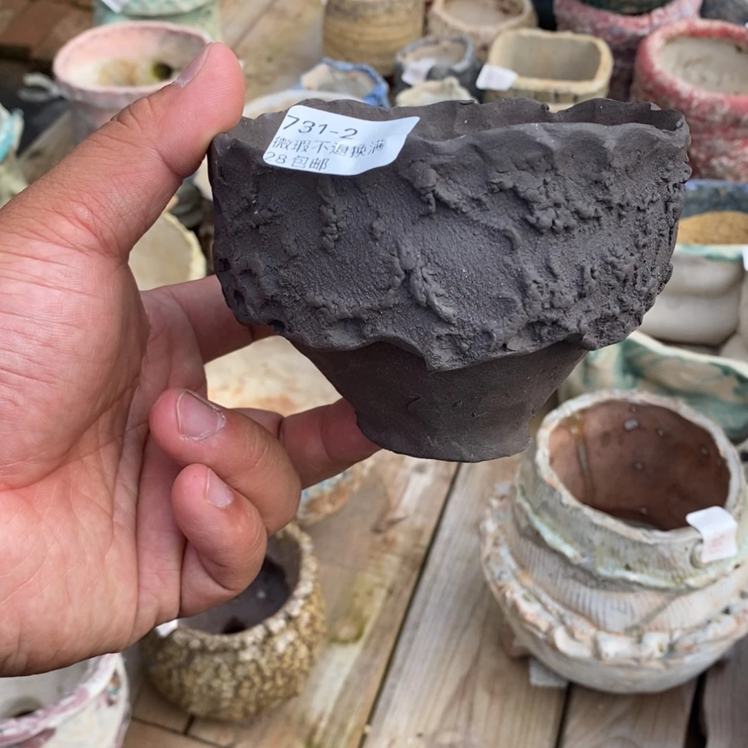 2号花盆内11，高9花盆