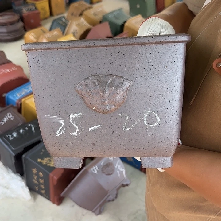 你就不要在和她们在