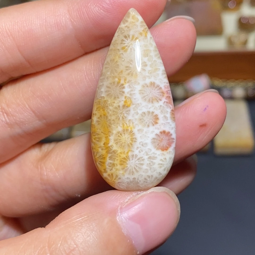 【闪购商品】未镶嵌珊瑚玉硅化玉13