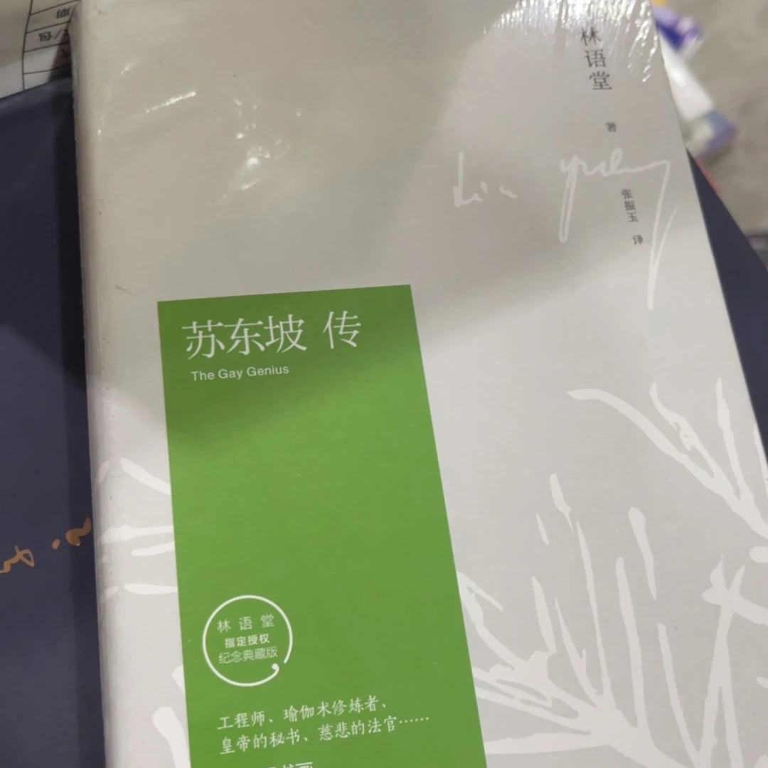 M***o苏东坡转精装一个