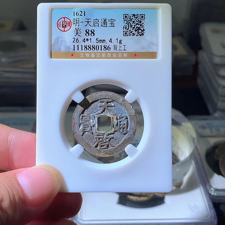 铜天启背上工。。珍安。。。。。