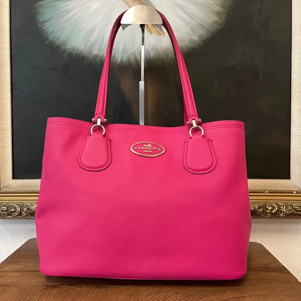 95新 COACH/蔻驰 coach蔻驰单肩包/006688/尺寸34*24