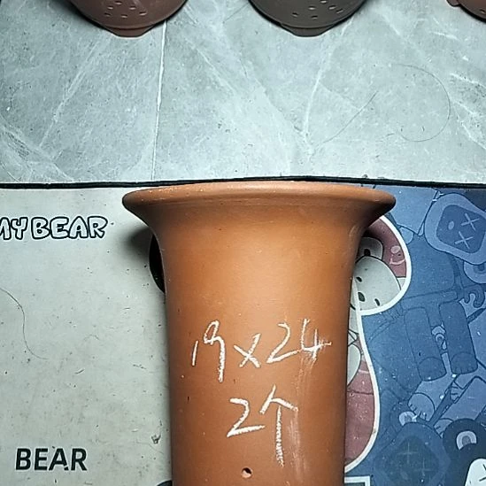 大红兰花两个花盆