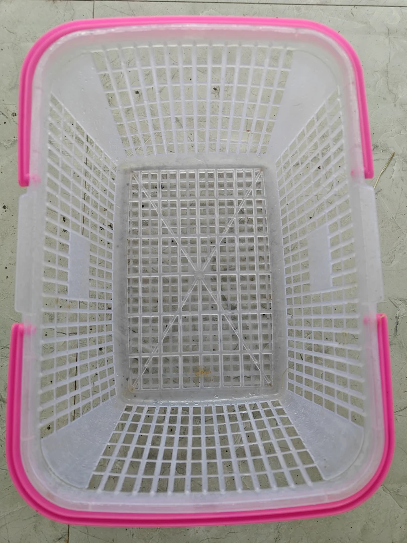 直播间专用荷兰猪一物一拍框