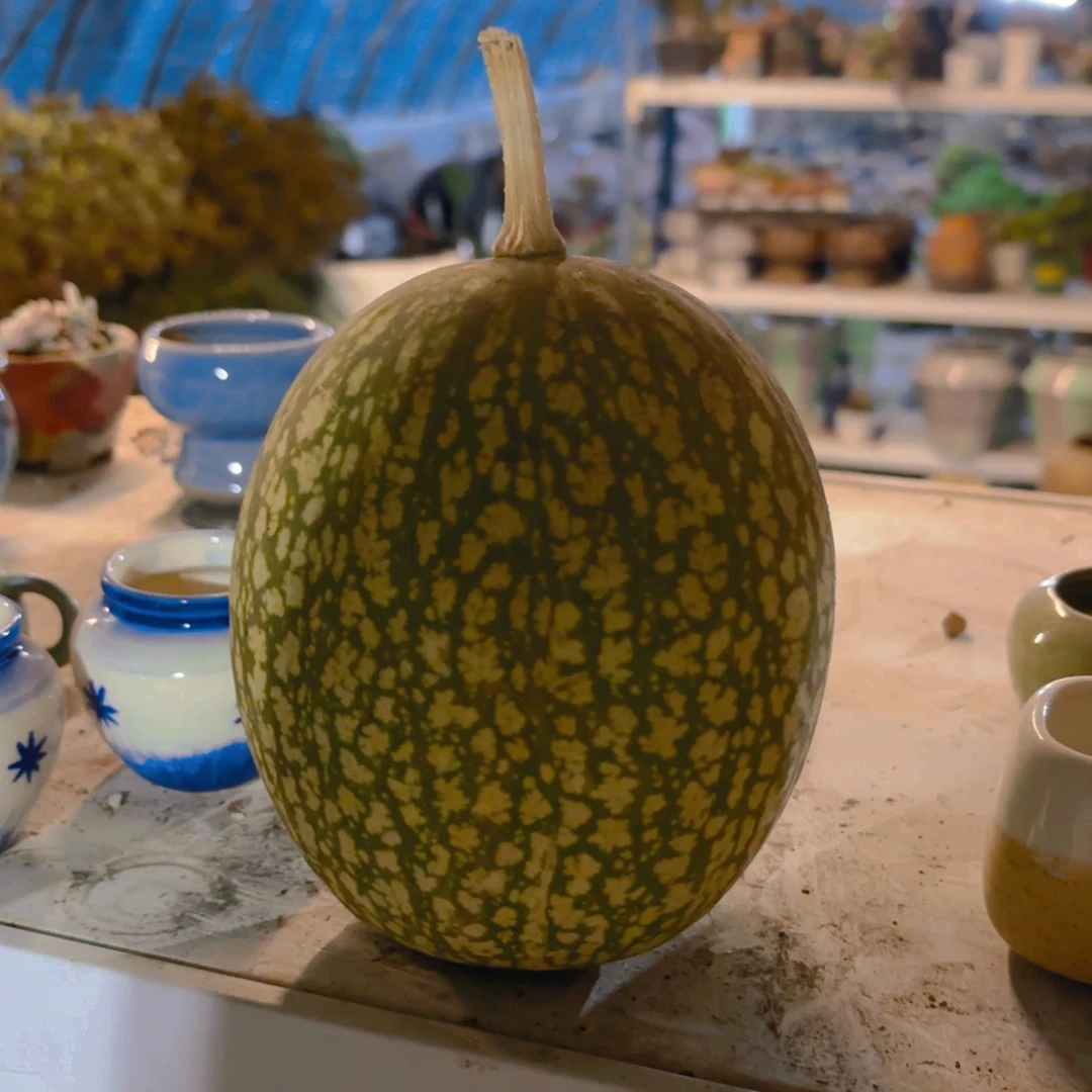 旋***！看瓜切勿吃掉新疆包邮