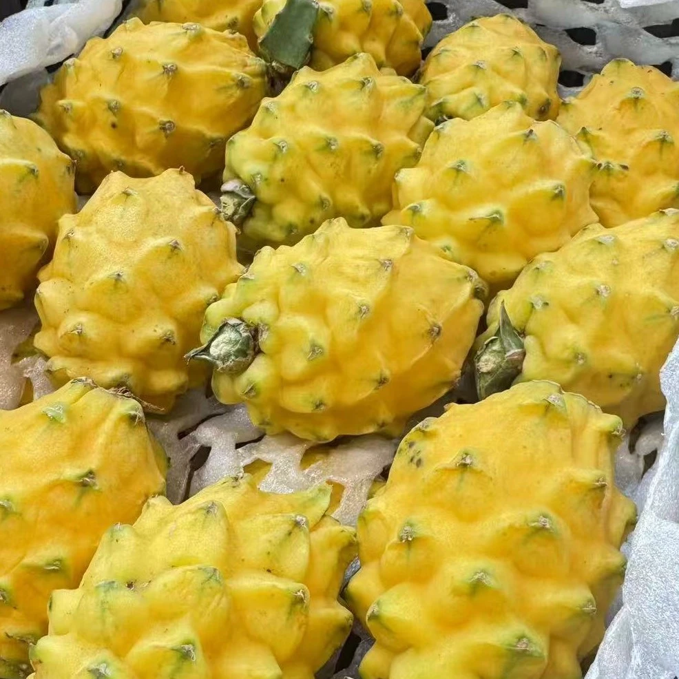 纯甜 燕窝果 一公斤