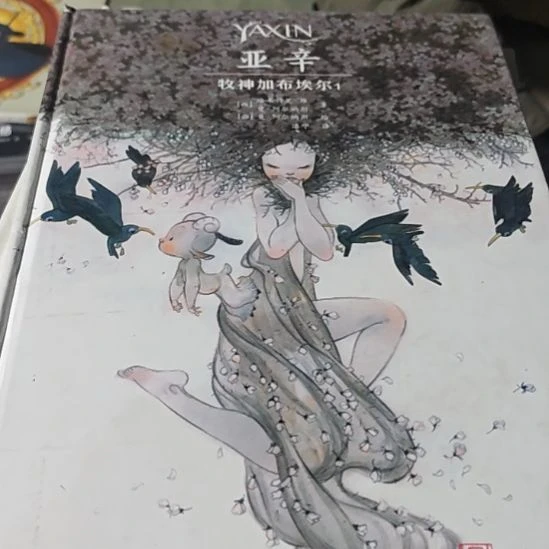 亚辛穆神加布埃尔1精装（务必塑封角微瑕）