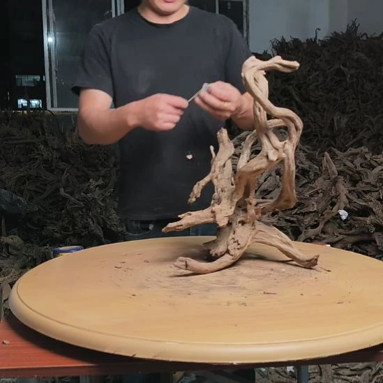 木鱼缸造景水库杜鹃根 107