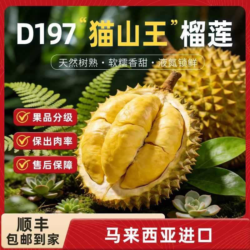 马来西亚进口猫山王榴莲 液氮冷冻榴莲AA果 ZB