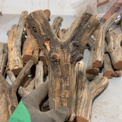 大果紫檀（缅甸花梨）唐*子