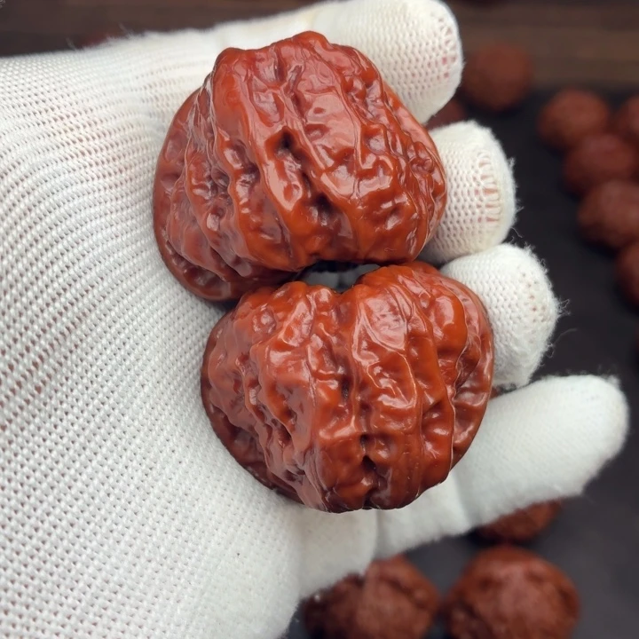 木质蛤蟆头288.01. WY#00#