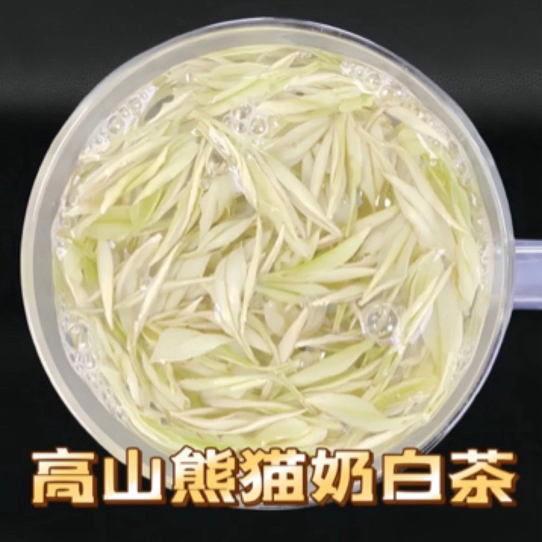 【618极白】奶香味  安吉明前奶香熊猫茶  258