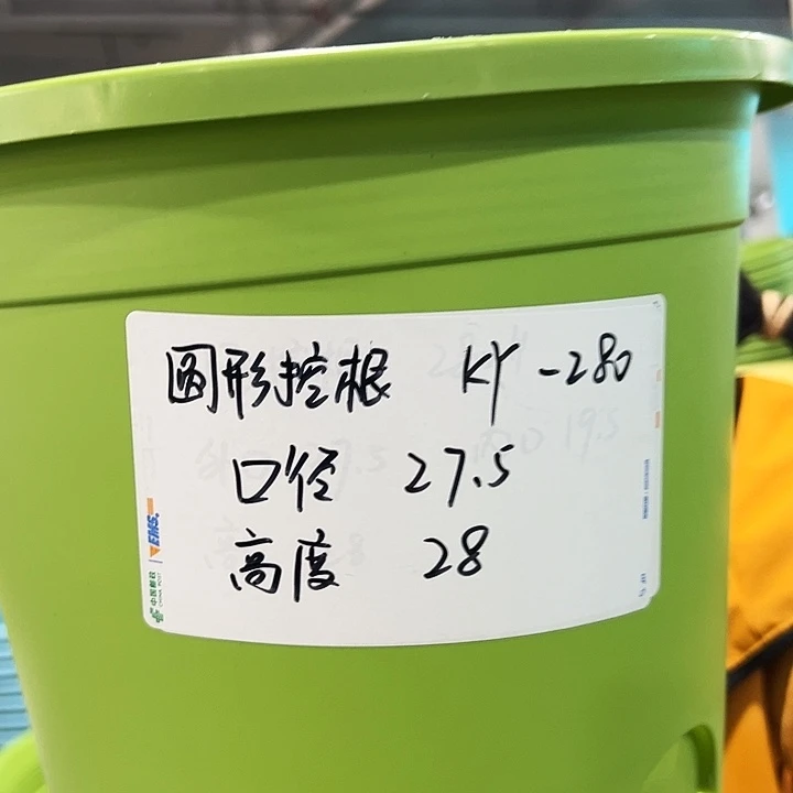 正品圆控口27.5高28白色10只带托