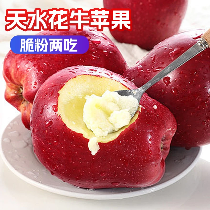 【正宗天水花牛苹果】脆粉两吃多汁当季新鲜头茬采摘包邮坏果必赔