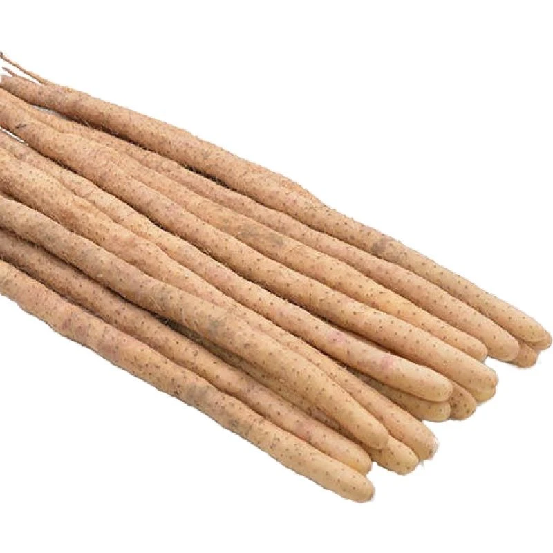 新鲜铁棍山药软糯香甜营养丰富产地直达垆土种植30-40cm五斤装