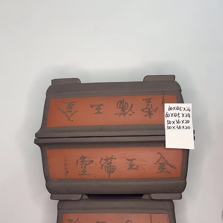 两个50两个60家漏家漏漏家漏啦