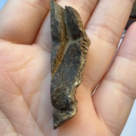 沉香摆件海南厚包尖峰岭1.48克