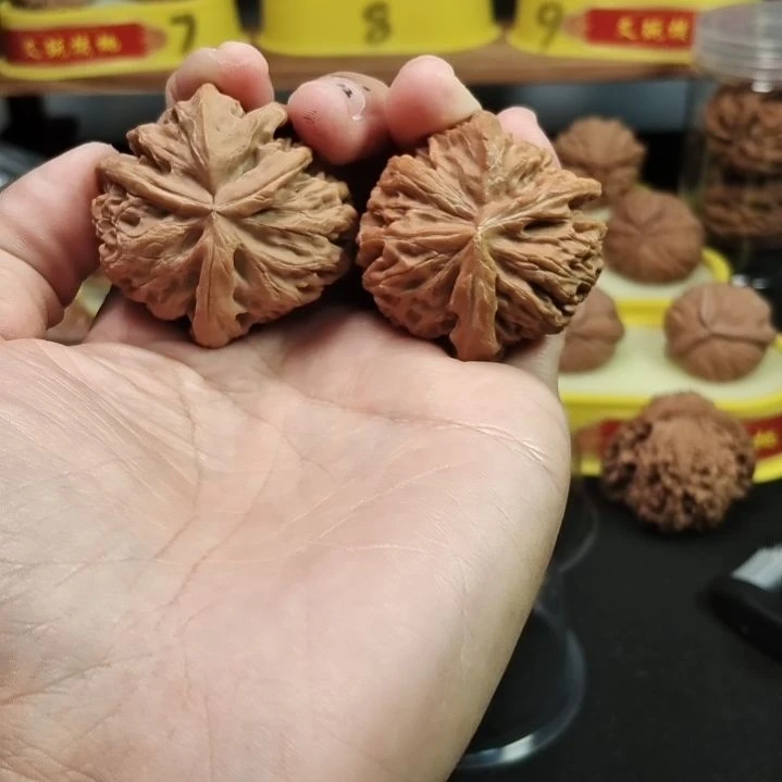 @***学把件文玩核桃宫灯大角