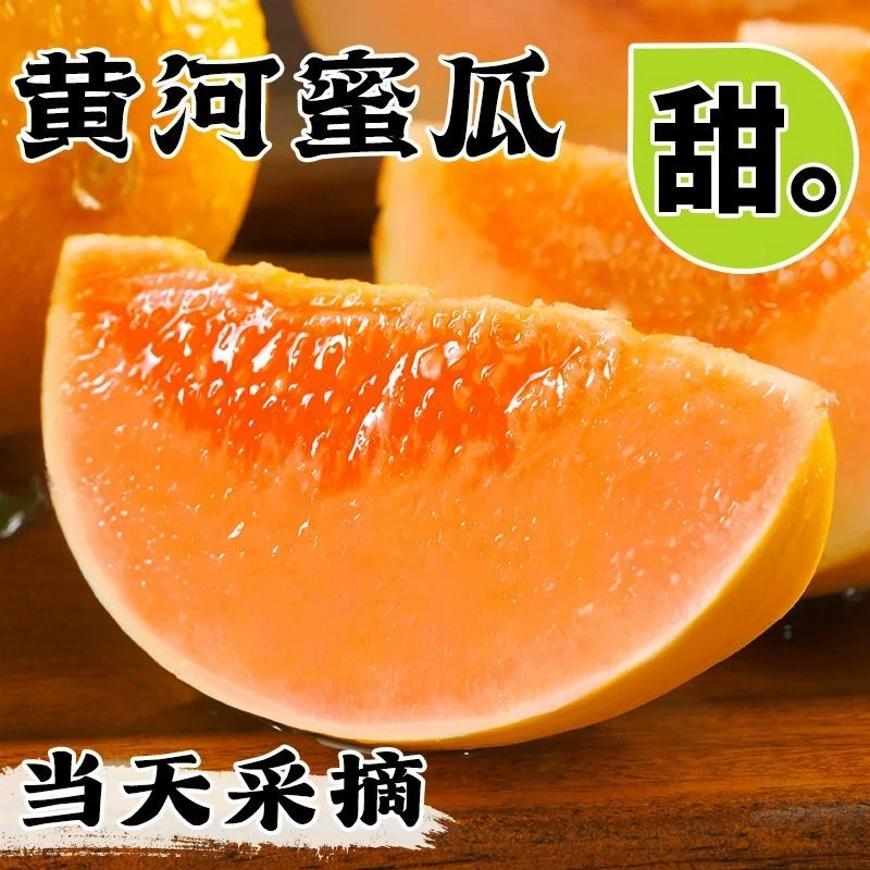 黄金黄皮黄河蜜甜瓜应季新鲜水果KK