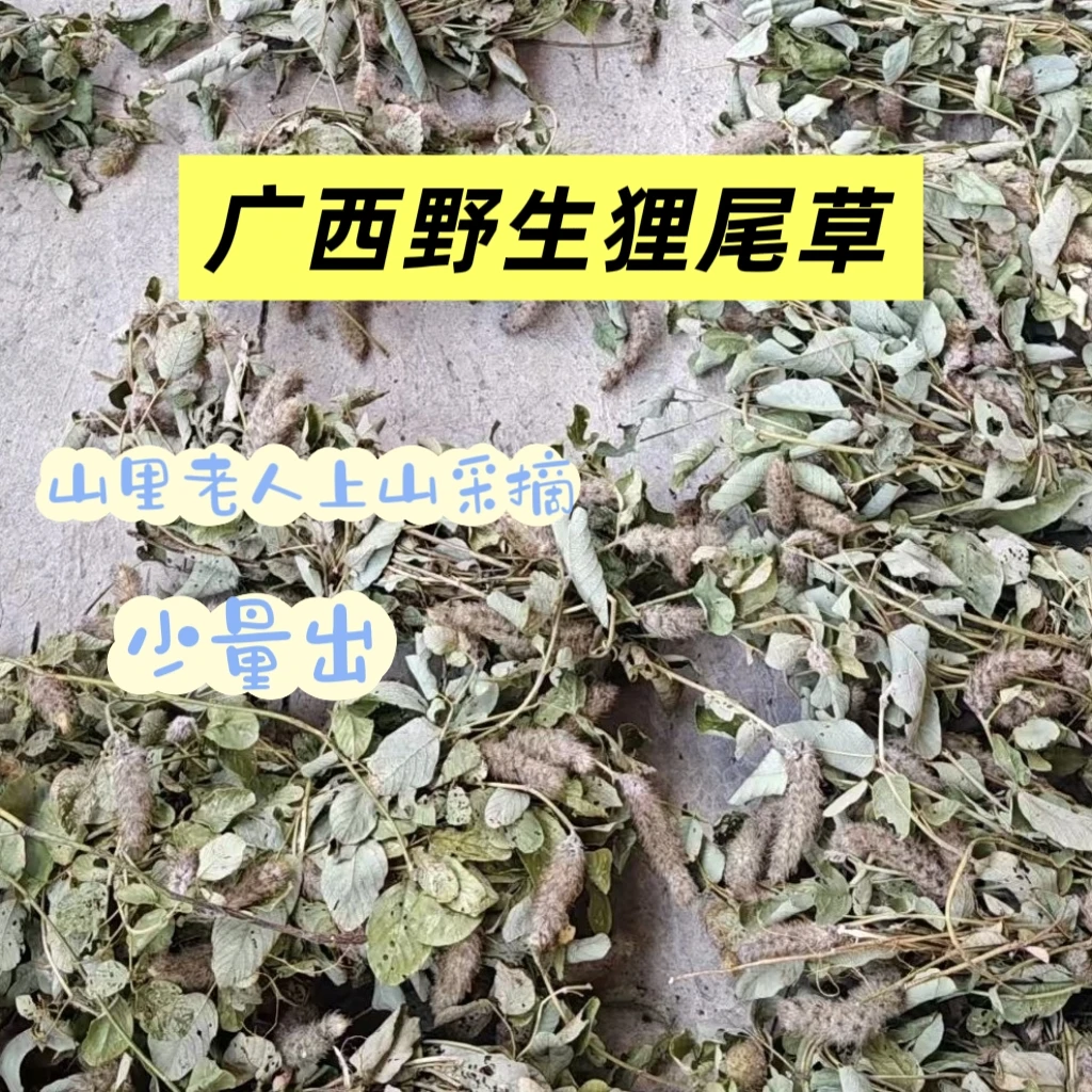 当季新鲜狸尾草根茎干货日常可煮水喝