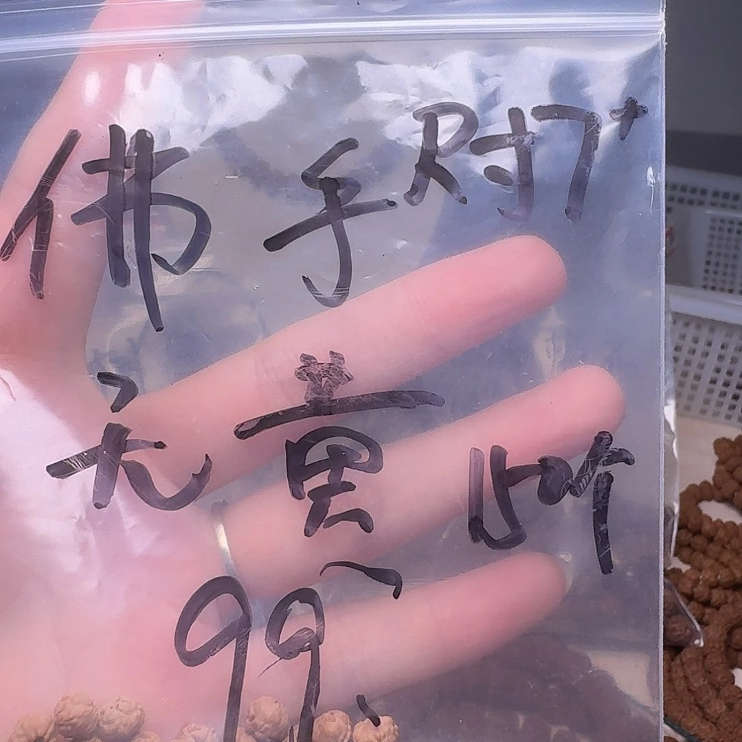 金刚菩提吊坠海**来佛手散籽瑕疵福利款尺寸7