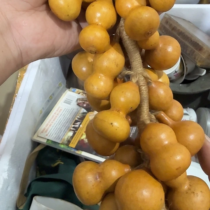 用***1扇子吃哥哥哥哥哥哥哥哥恍恍惚惚