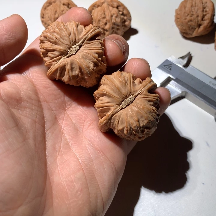 把件文玩核桃来*白狮子