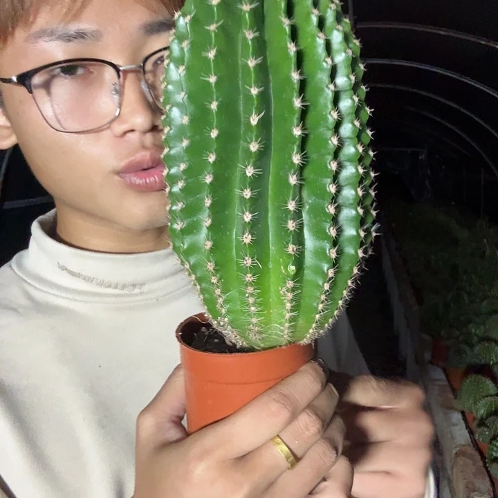 陈***美无花朵彩草哈哈哈哈哈哈哈哈哈