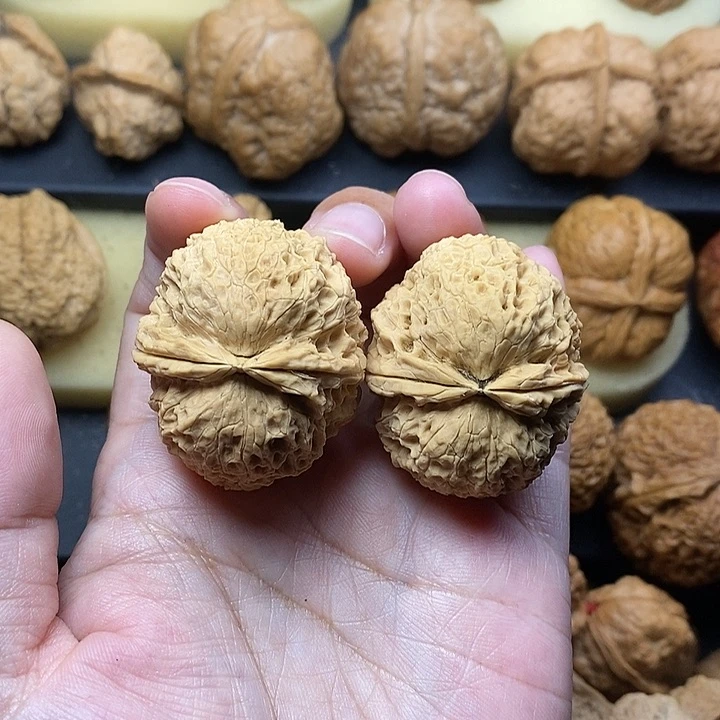 吊坠桃核金狮绣球40尺