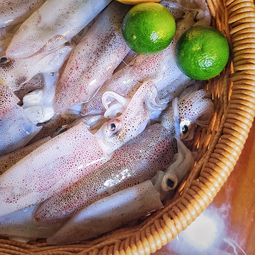 北海中管鱿鱼子弹头鲜嫩美味海鲜