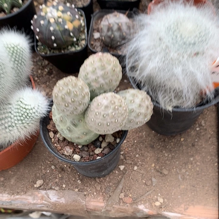 w****辉333333333333333