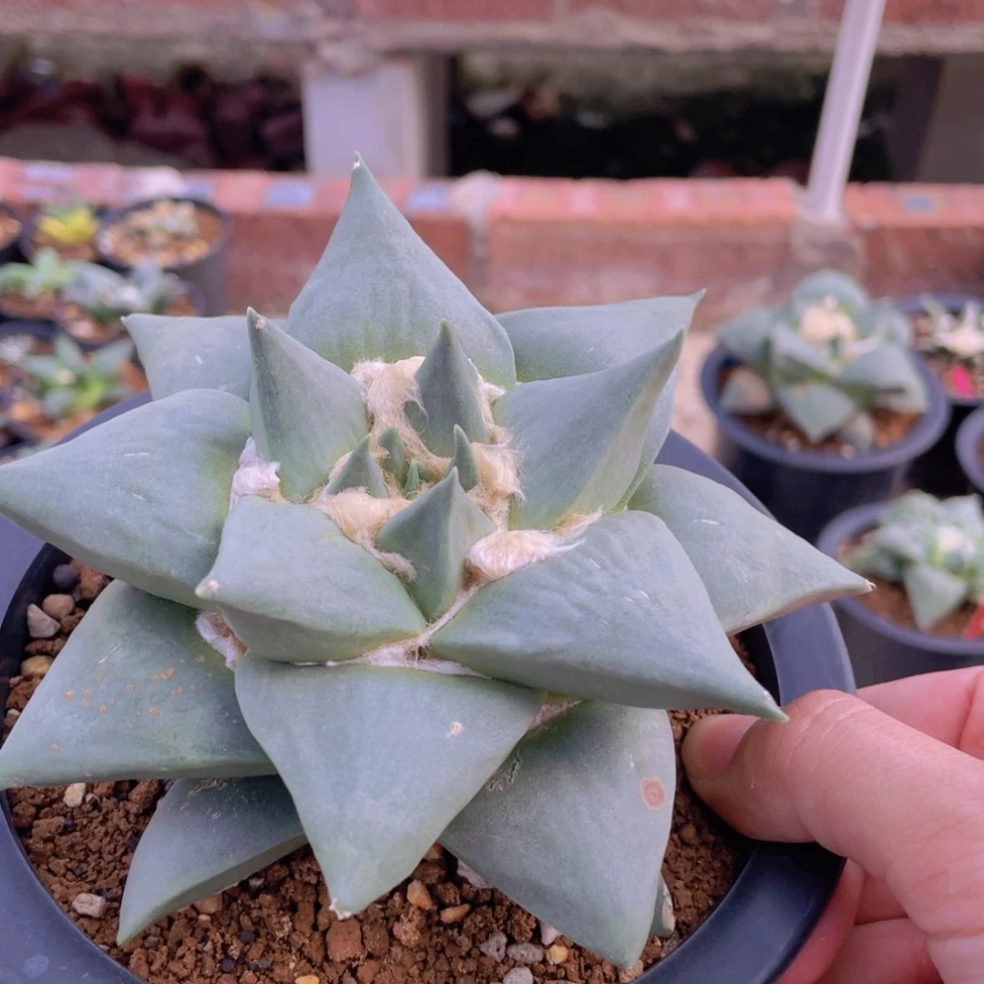 实生福利福利福利福利