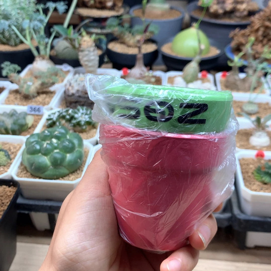 余***好花盆2个绿色粉色。。
