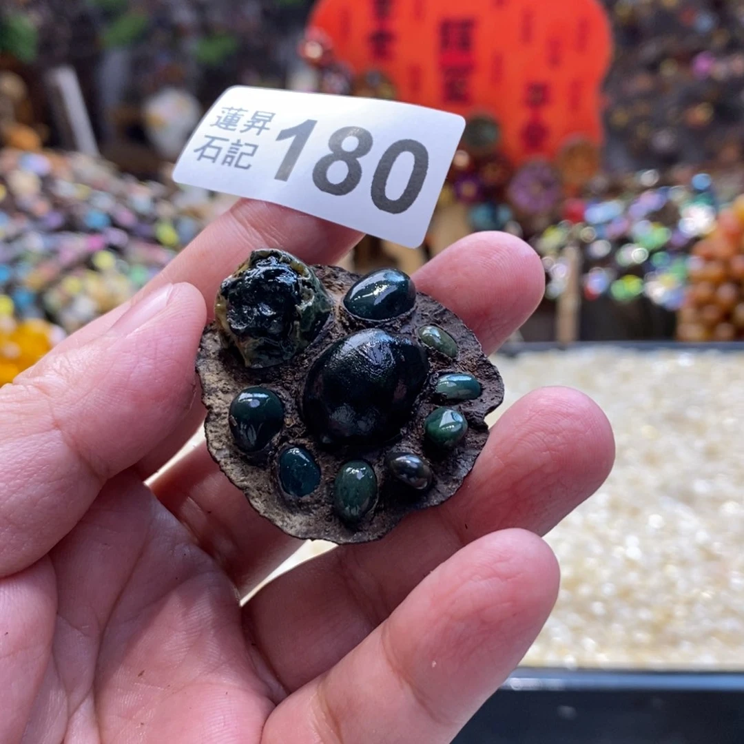 核桃木/黑胡桃（胡桃木）180小龟