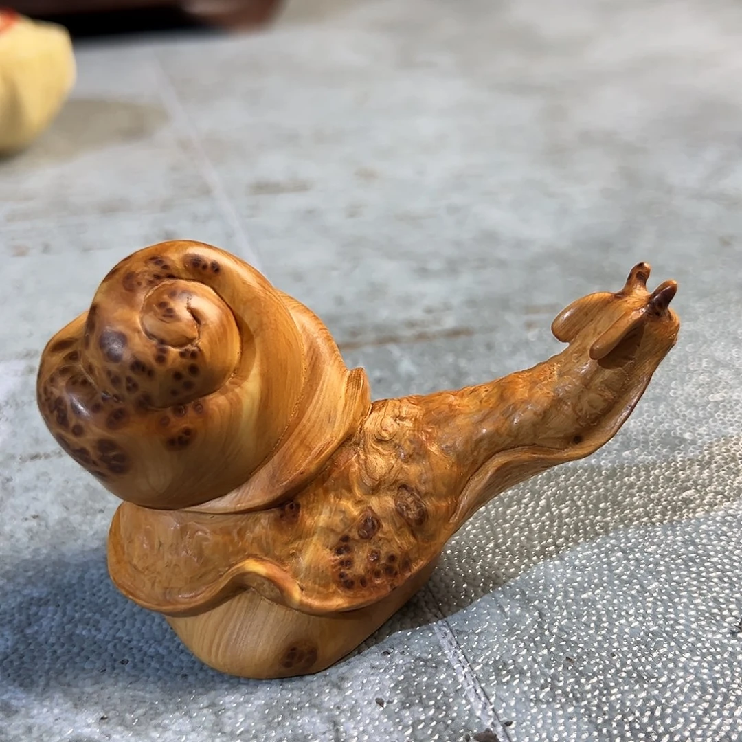 柏木（崖柏）太行崖柏