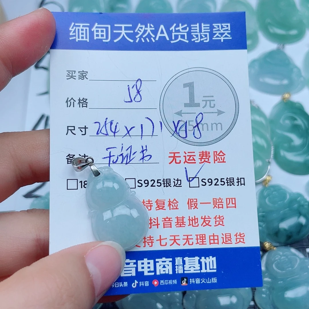 翡翠银S925镶嵌颈饰翡翠