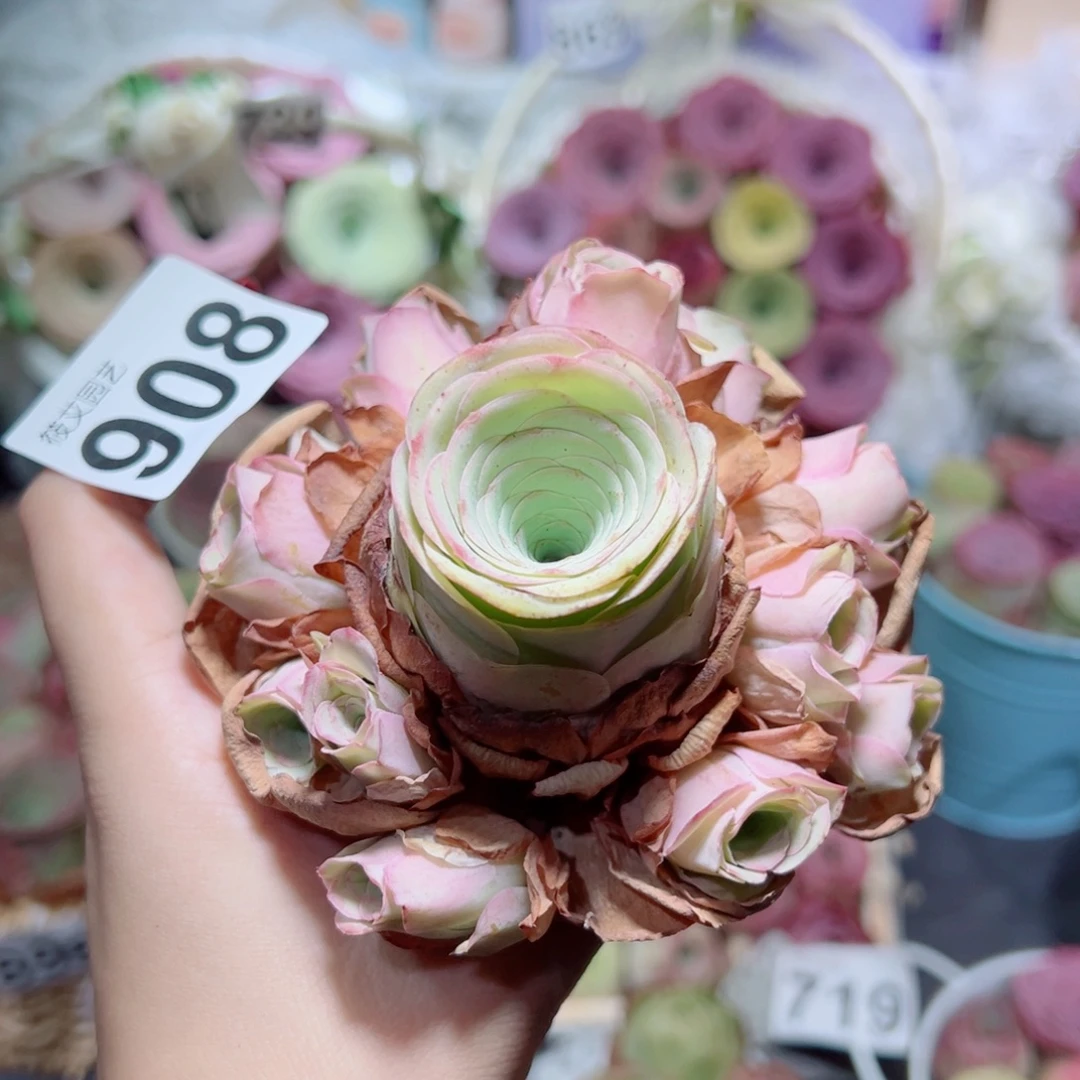 じ***࿐908粉色玫瑰手捧花。