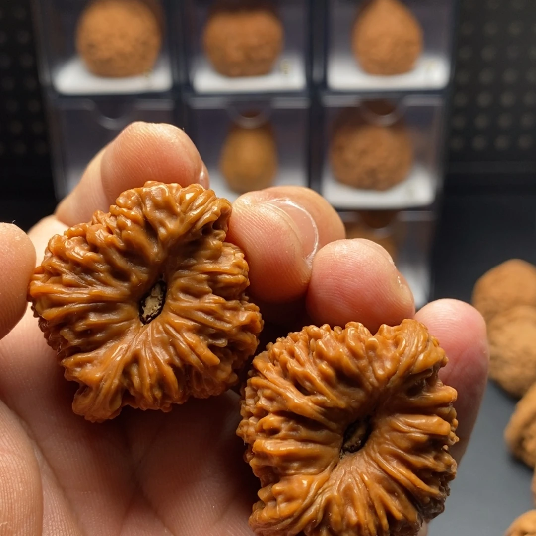 編***139南疆888888888888