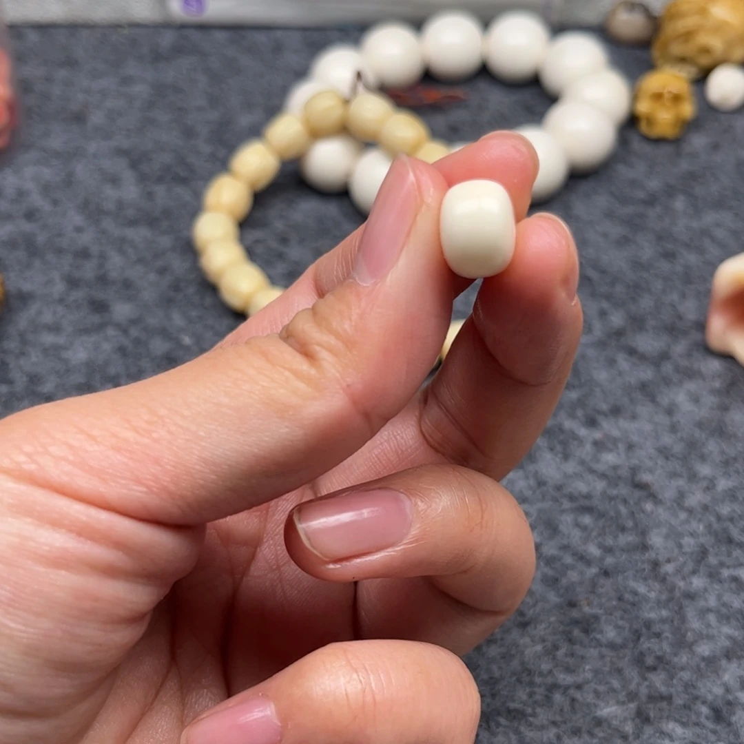 鹿骨其他人工养殖驼骨3