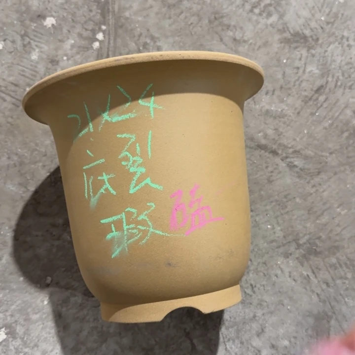 高度21口径24单只微瑕