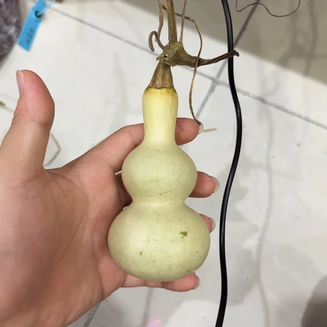 虚***妄葫芦djsndjssjsjsnns