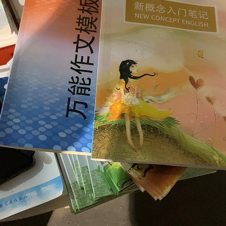 新概念入门笔记+万能作文模板英语